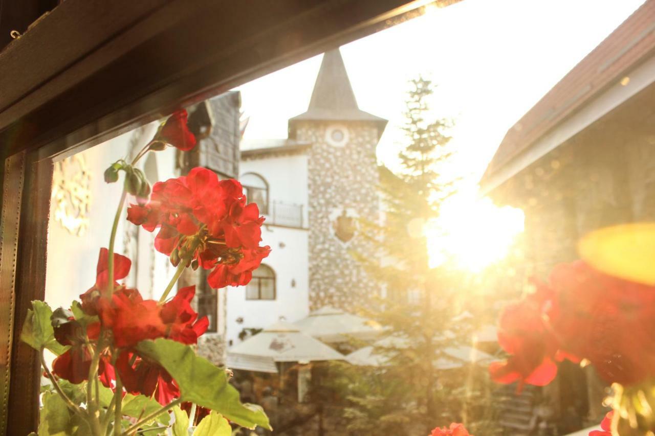 Hunter Prince Castle&Dracula Hotel Turda Exterior foto